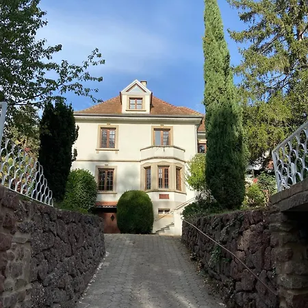 Appartamento View Of Park And Nature, Pool, Spa, Garden Obernai