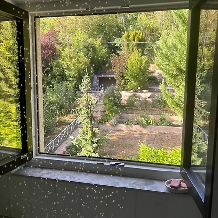 View Of Park And Nature, Pool, Spa, Garden Appartamento Obernai