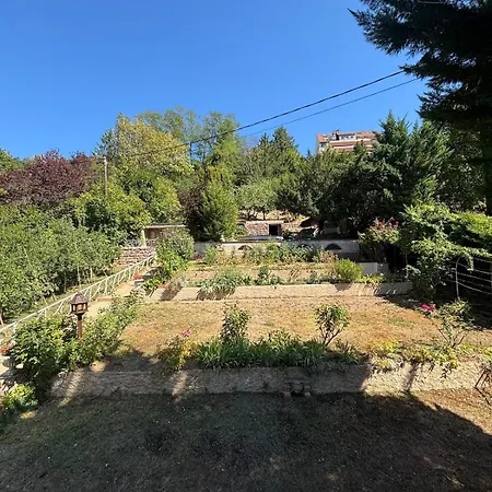 View Of Park And Nature, Pool, Spa, Garden Obernai