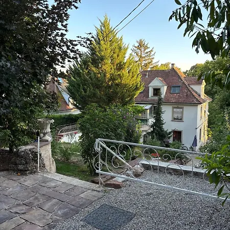 View Of Park And Nature, Pool, Spa, Garden * Obernai